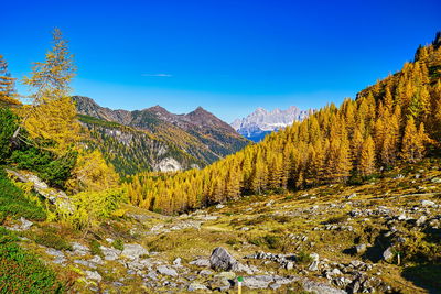 Scenic view of mountains against clear blue sky