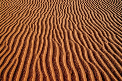 Full frame shot of sand dune