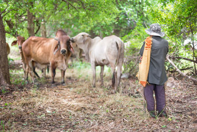 Rear view of man standing in forest