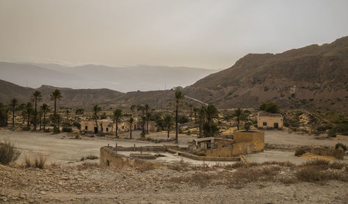 Landscape of tabernas desert, almeria, spain, with palm trees and an abandoned village