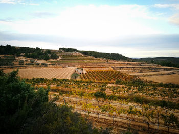 High angle view of agricultural field against sky