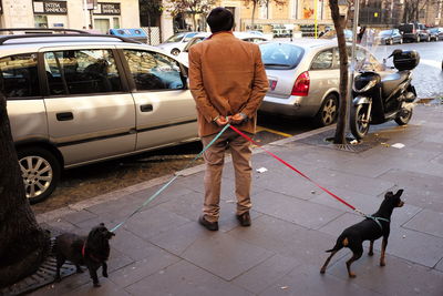 Rear view of a man with dogs outdoors