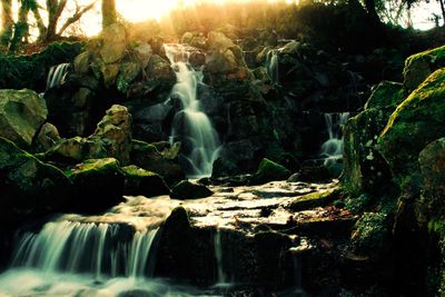 Scenic view of waterfall in forest