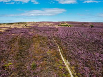 Road amidst field against sky