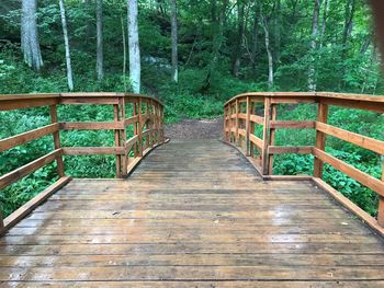 Footbridge in forest