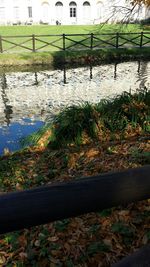 Reflection of trees in water