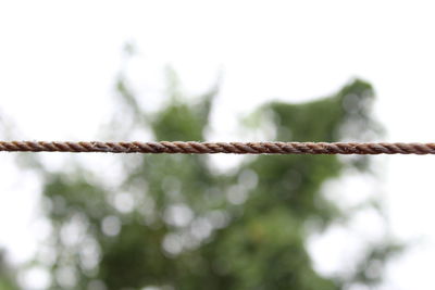 Low angle view of barbed wire fence