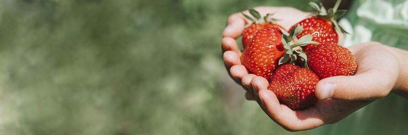 Close-up of hand holding strawberry