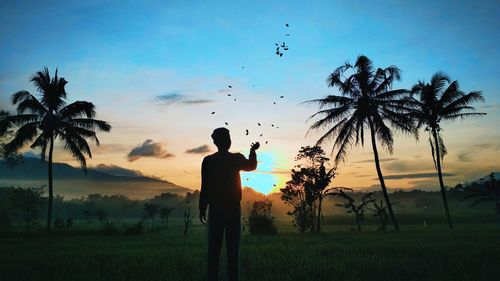 Silhouette man standing by palm trees on field against sky during sunset