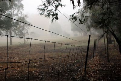 Scenic view of trees on field against sky