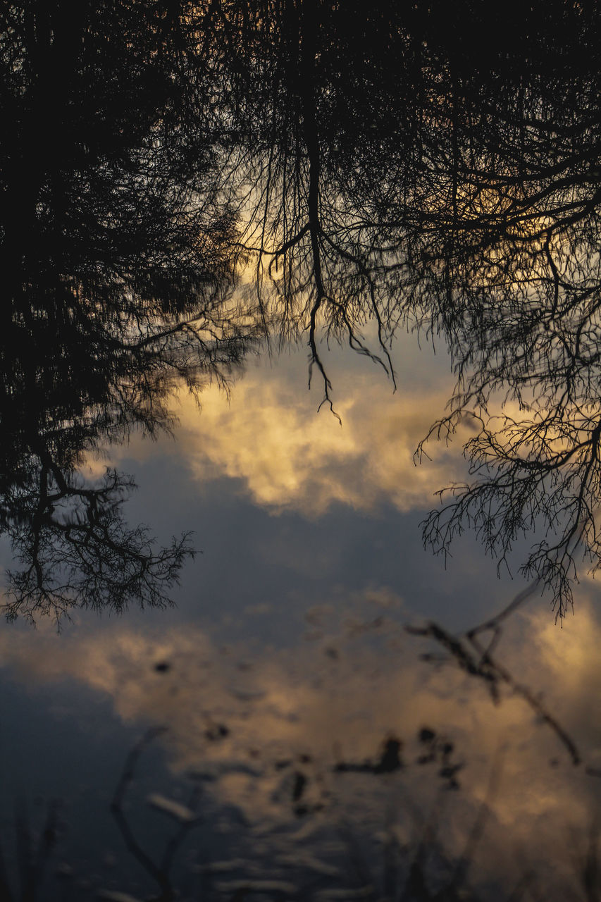 SILHOUETTE TREES AGAINST SKY DURING SUNSET