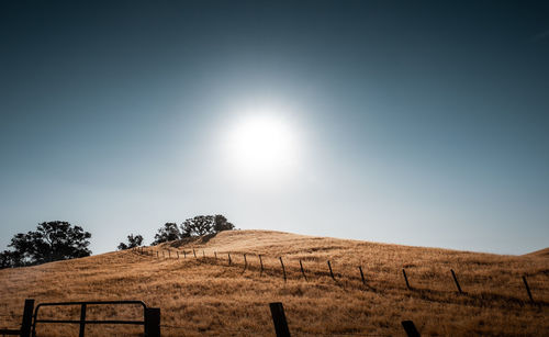 Scenic view of field against sky on sunny day