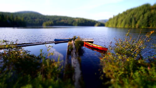 Scenic view of lake against trees