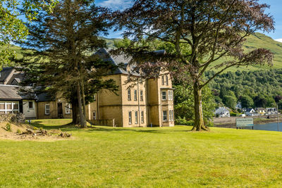 Trees and lawn outside building