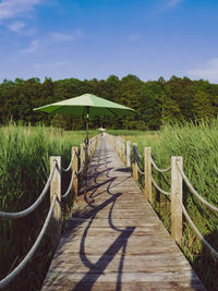 Boardwalk amidst plants against sky