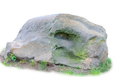 Close-up of rock against clear sky