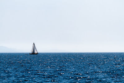 Sailboat sailing on sea against clear sky