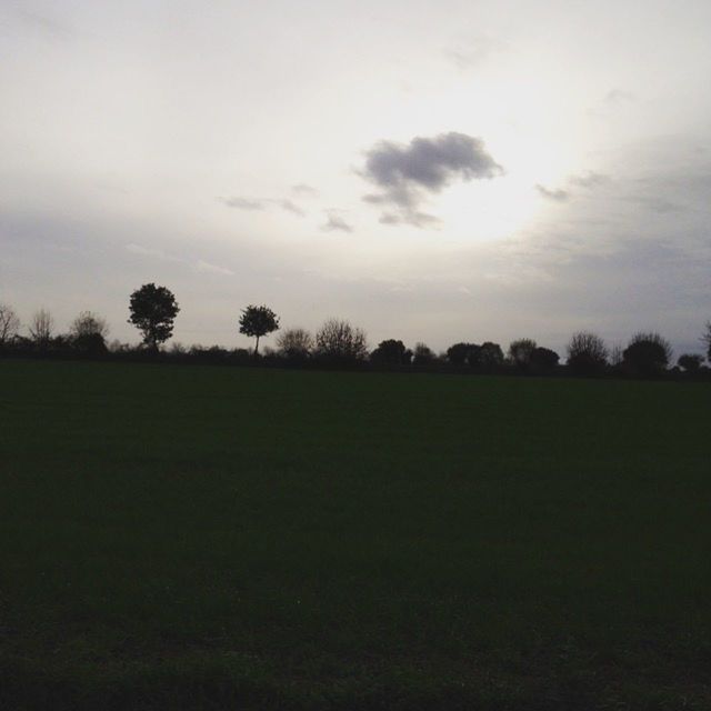 sky, tranquil scene, tranquility, field, tree, landscape, scenics, beauty in nature, cloud - sky, nature, grass, cloudy, weather, growth, grassy, cloud, idyllic, silhouette, overcast, outdoors