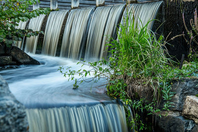 Scenic view of waterfall