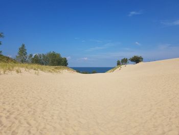 Scenic view of sandy beach