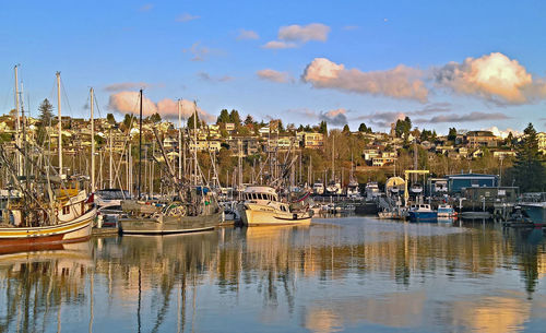 Boats moored in harbor against buildings in city