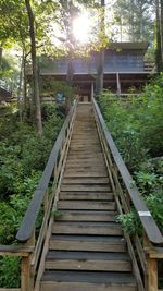 Steps amidst trees against sky