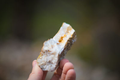 Close-up of hand holding ice cream