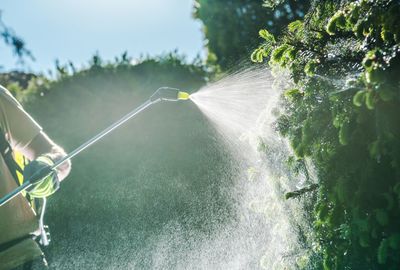 Midsection of man spraying pesticides on plant