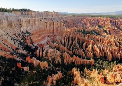 Panoramic view of trees in forest against sky