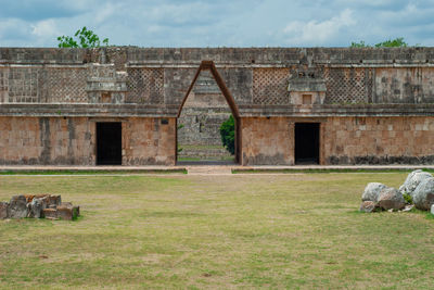 View of an animal on field