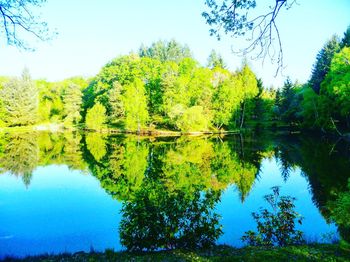 Scenic view of lake in forest against sky