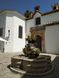 Potted plants outside building