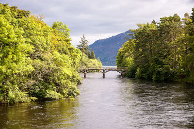 Bridge over river amidst trees against sky