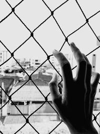 Close-up of hand holding chainlink fence against sky