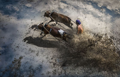 High angle view of man climbing on land