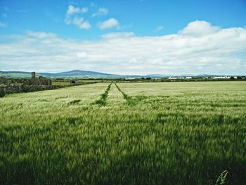 Scenic view of field against cloudy sky