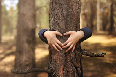 tree trunk