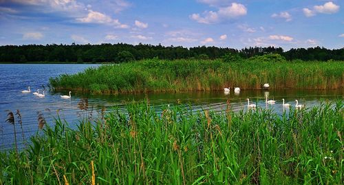 Scenic view of lake against sky