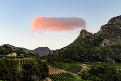 Scenic view of landscape against clear sky