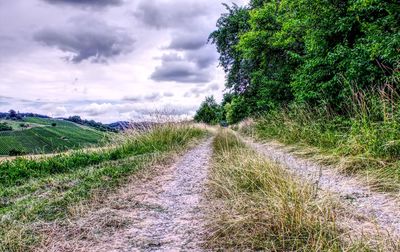 Trail amidst trees on field against sky