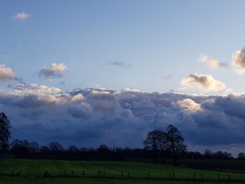 Scenic view of field against sky