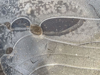 High angle view of wet street during winter