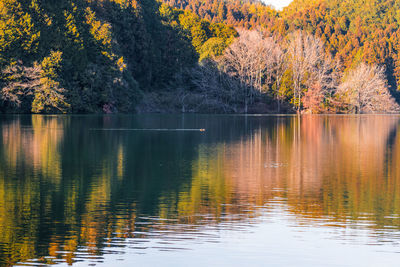 Scenic view of lake during autumn