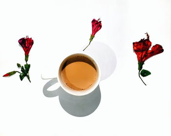 Red rose with roses against white background