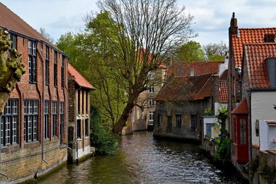 Canal amidst buildings in town