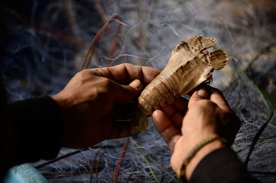 Cropped image of man holding crab