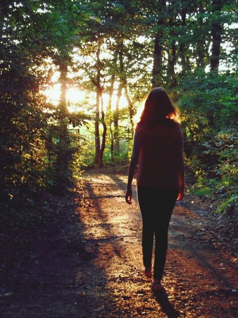 tree, rear view, full length, walking, lifestyles, the way forward, leisure activity, standing, forest, sunlight, person, tree trunk, footpath, shadow, nature, silhouette, casual clothing, men