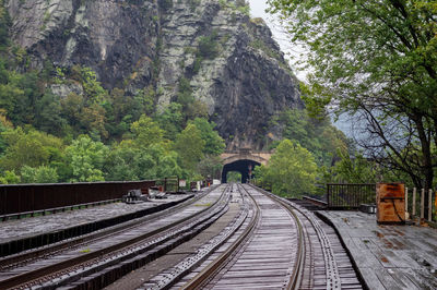 Railway tracks along trees and plants