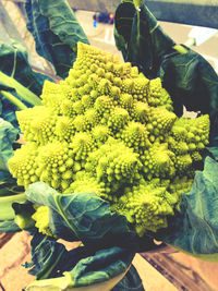 Close-up of food