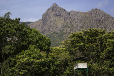 Low angle view of trees and mountains against sky